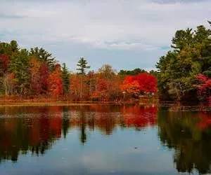 Walden Pond State Reservation