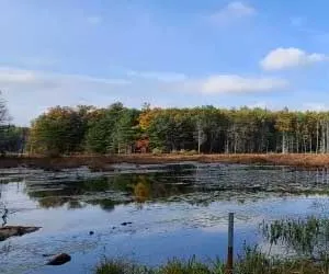 Assabet River National Wildlife Refuge