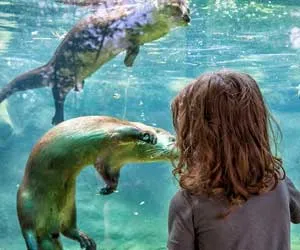 EcoTarium in Worcester , MA