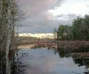 Assabet River National Wildlife Refuge